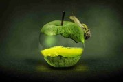 全面解读黑料网平台功能：实战指南与操作步骤，黑料的最新网站